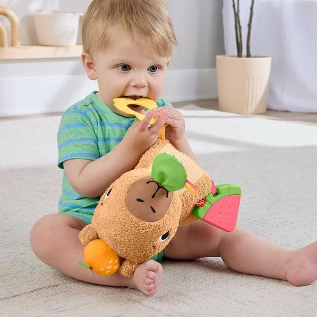 Fisher-Price Snuggly Snacky Capy -kapybarapehmolelu-2